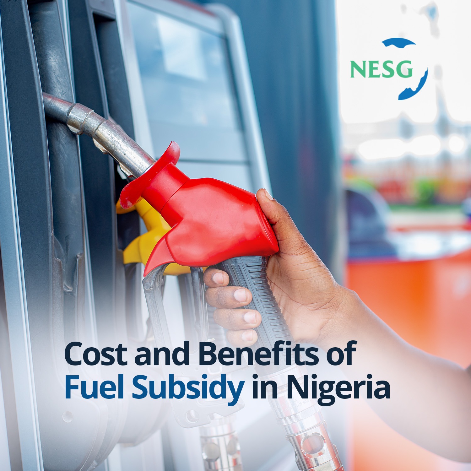 Cost and Benefits of Fuel Subsidy in Nigeria | Nigerian Economic Summit ...